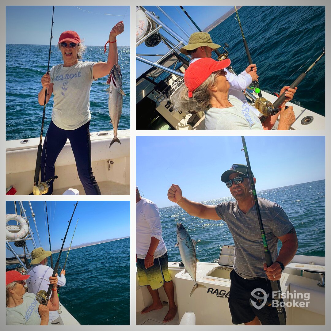 San Jose del Cabo Report Photo 0