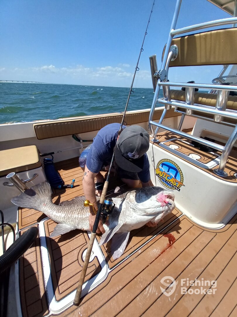 Wanchese Report Photo 0