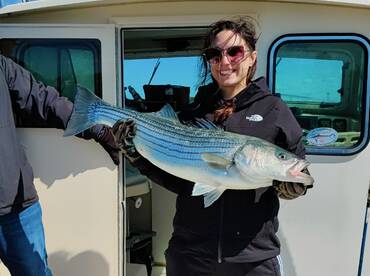 Mastic Report Photo 2