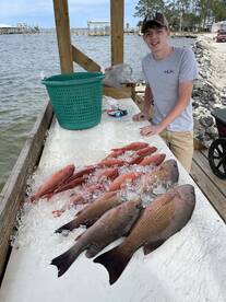 Orange Beach Report Photo 2