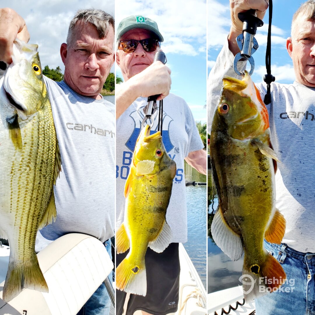 Delray Beach Report Photo 0