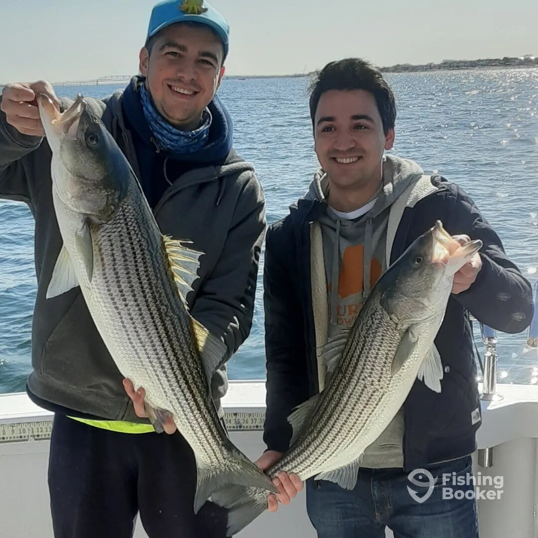 New York City Report Photo 0