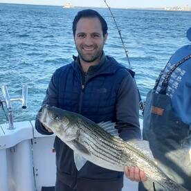 New York City Report Photo 2