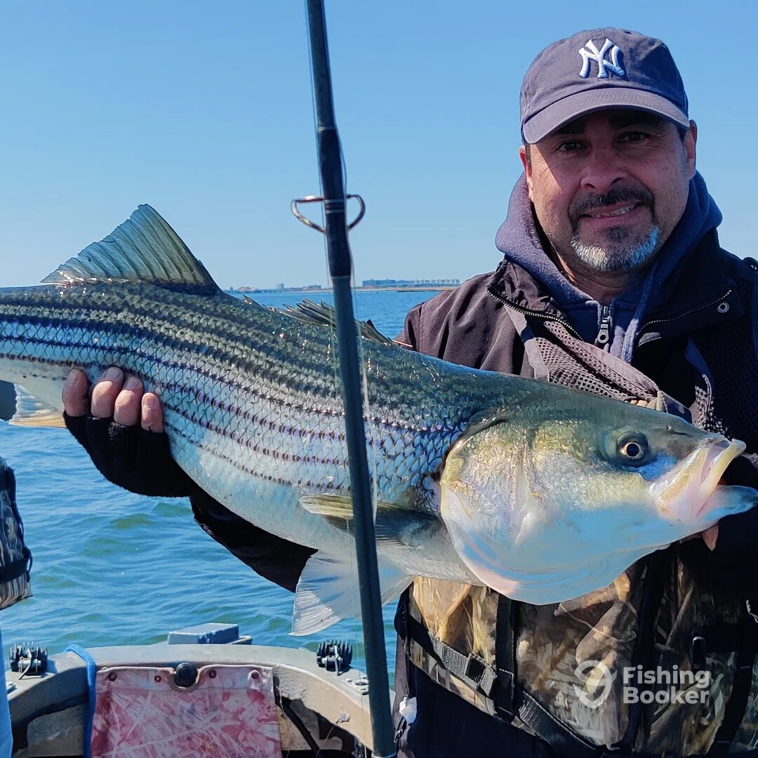 Mastic Report Photo 0