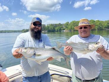 Cumming Report Photo 2