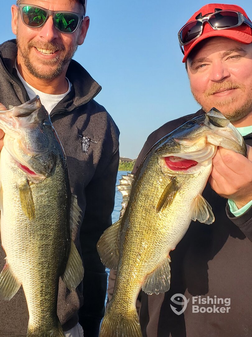 Orlando Report Photo 0