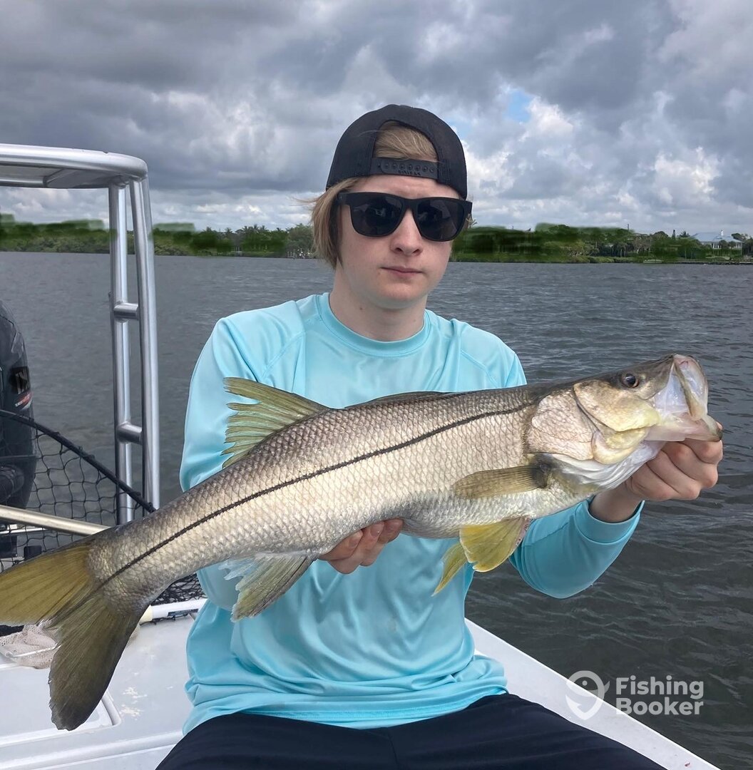 Jupiter Report Photo 0