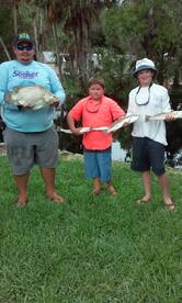 This is me and my son and our buddy's son with some nice trout and tripletail.