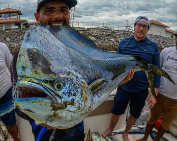 San Carlos Report Photo 2