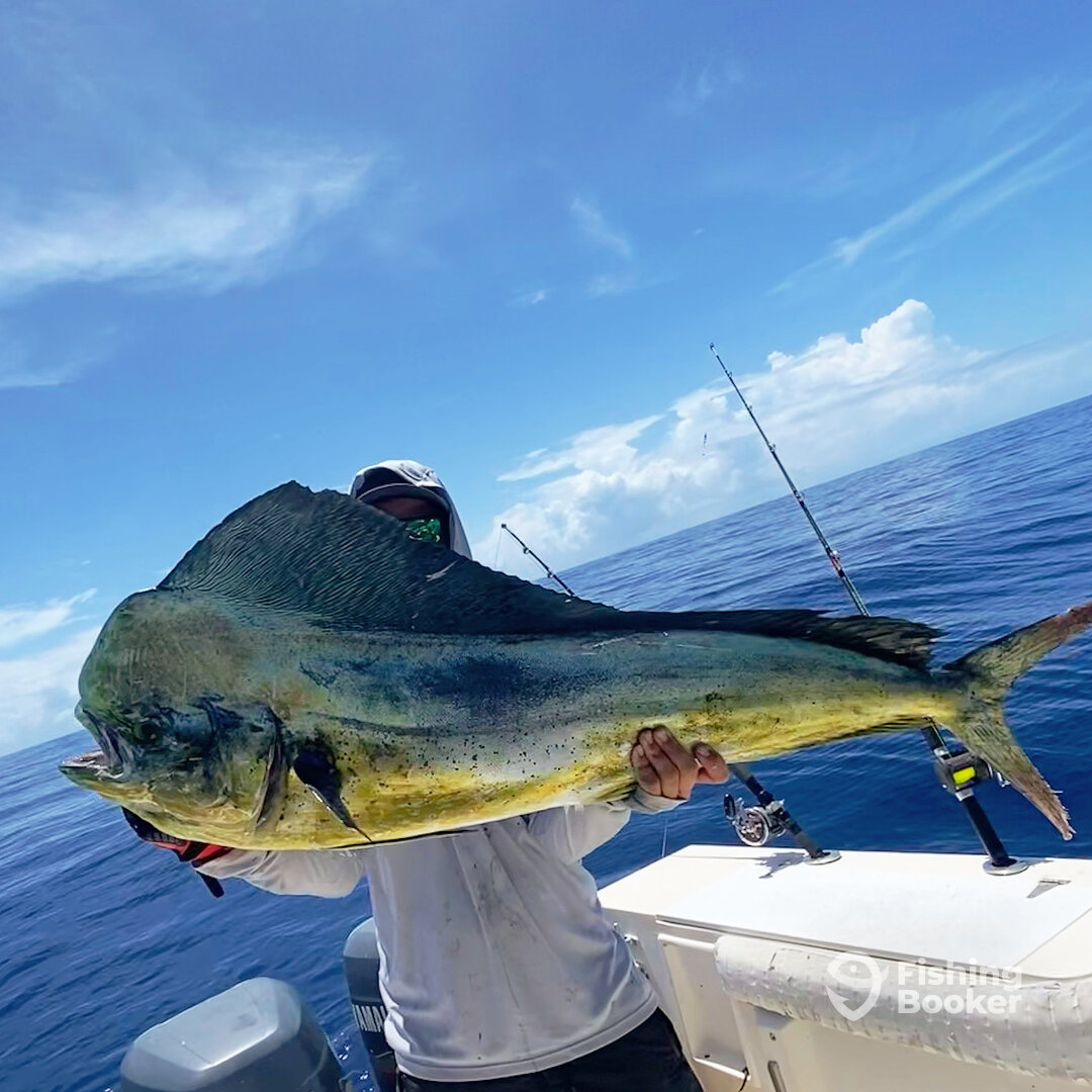 New Smyrna Beach Report Photo 0