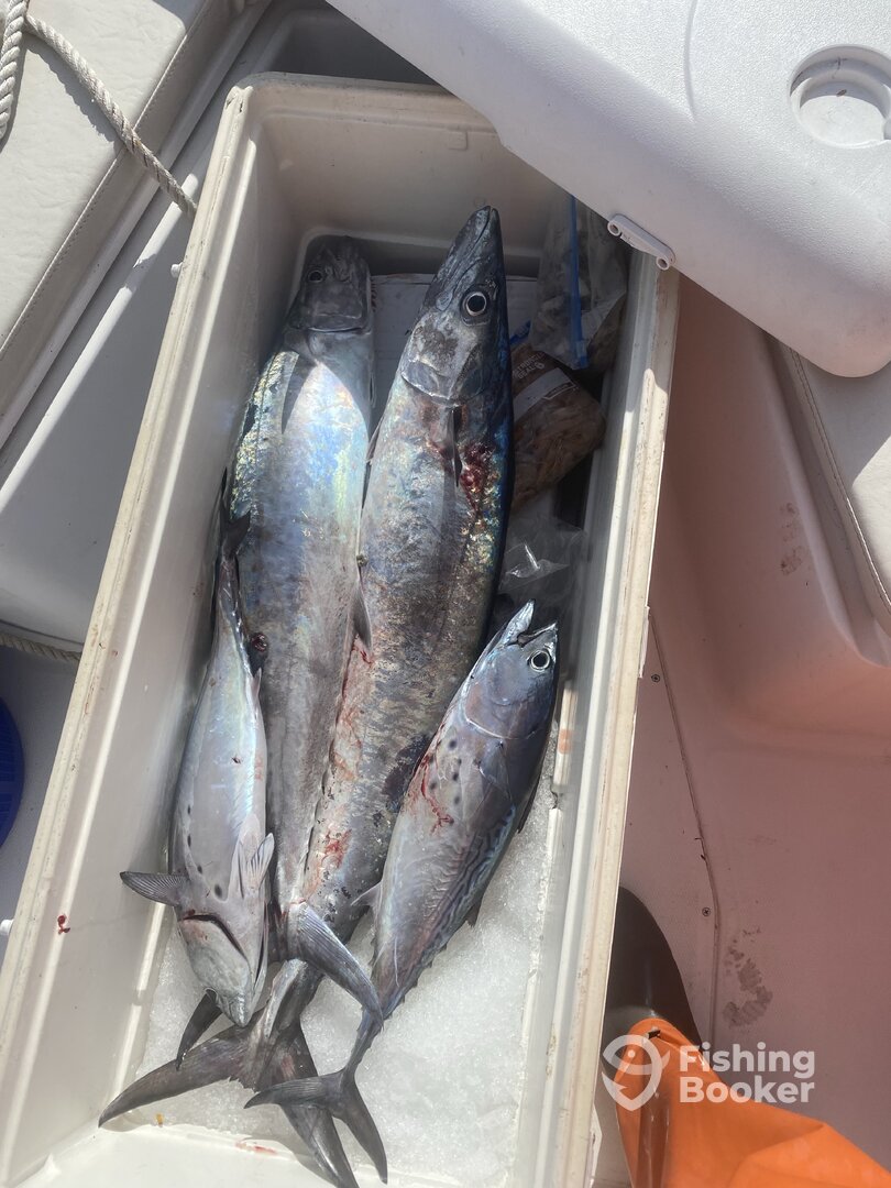 Miami Report Photo 0