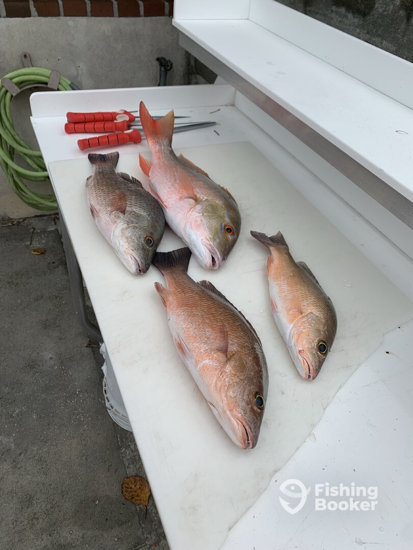 Key West Report Photo 0