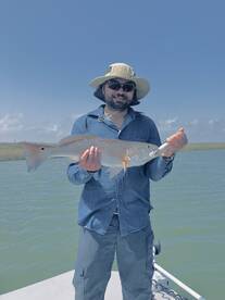 Galveston Report Photo 1