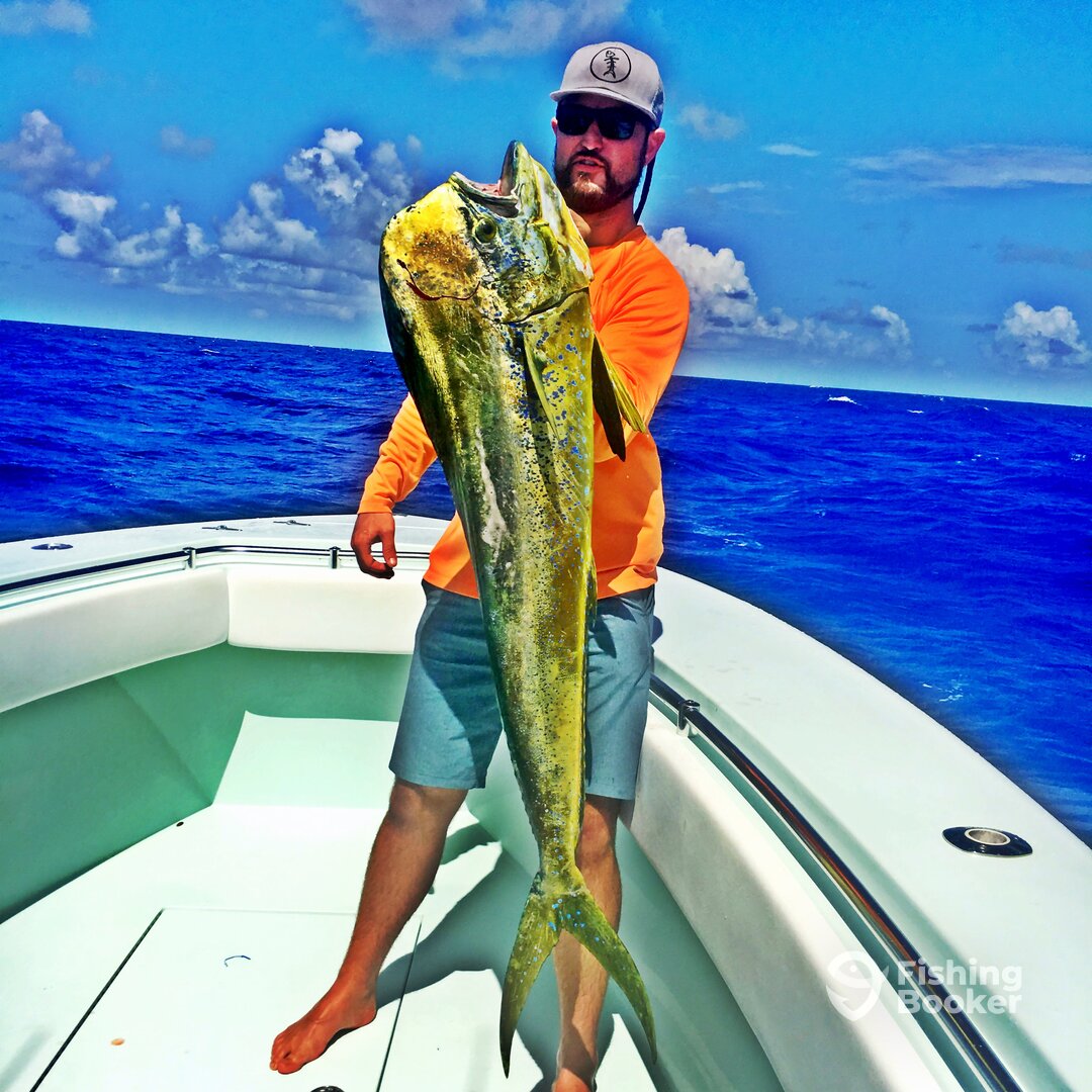 Key Largo Report Photo 0