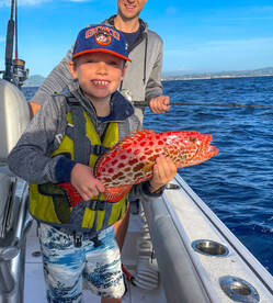 Humacao Report Photo 2