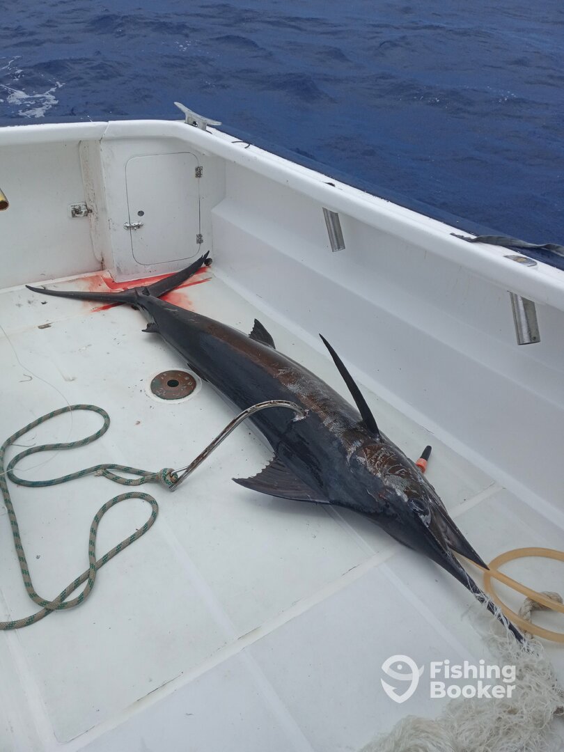 Le Morne Report Photo 0