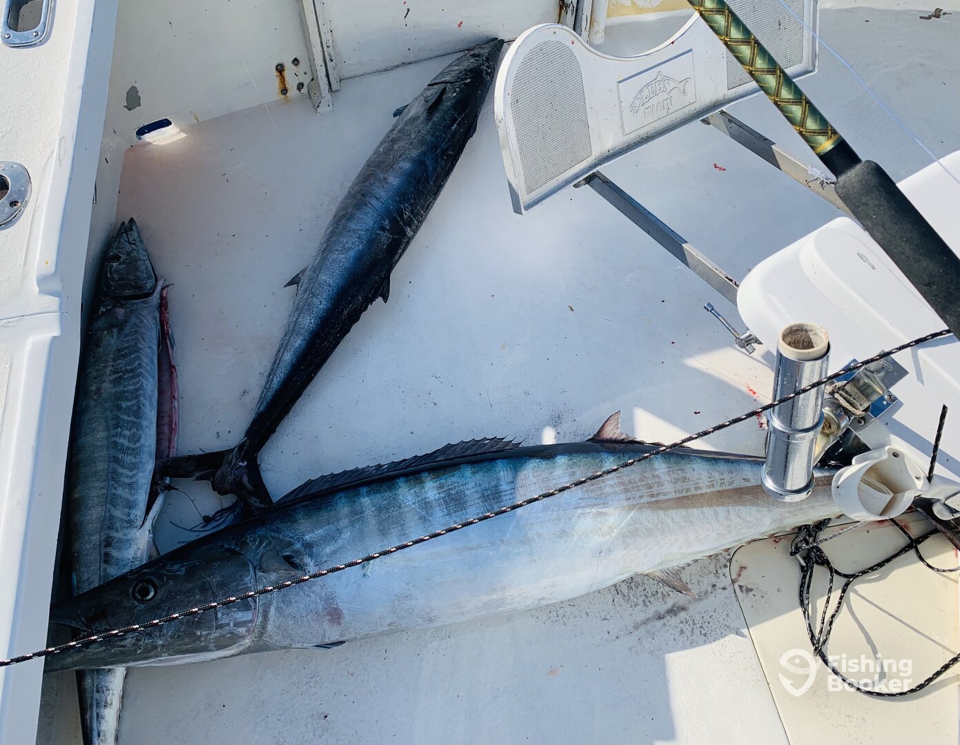 Sandys Report Photo 0