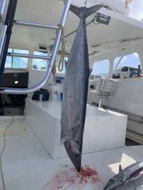 Sandys Report Photo 1