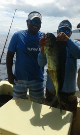 Jul 26 SportFishing Report