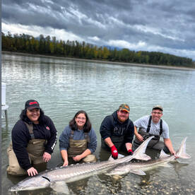 2022 Sturgeon fishing report