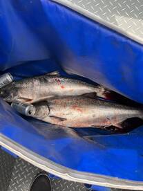 Milwaukie Report Photo 1