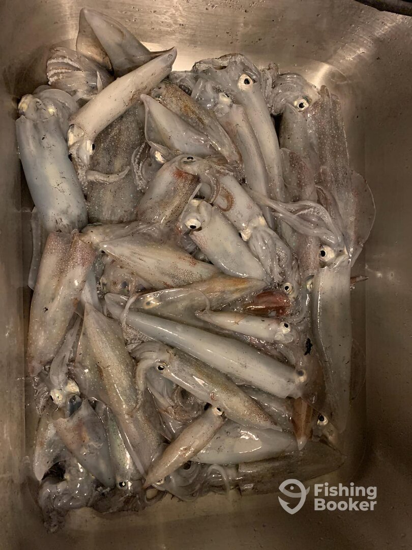 Dennis Report Photo 0