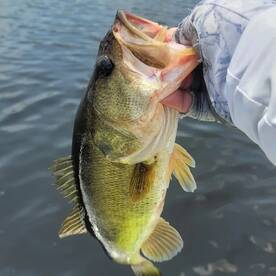 Weston Report Photo 1