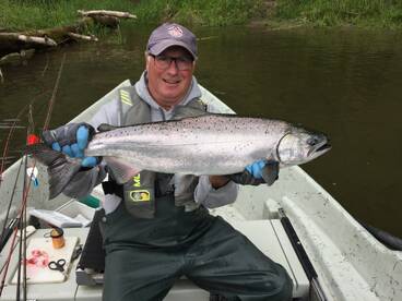 Spring Chinook showing in local and coas