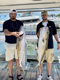 Shalimar Report Photo 2