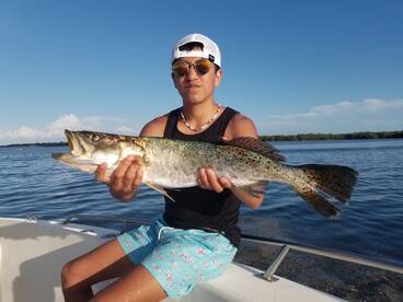 Spotted Seatrout are back and BIG! 