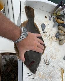 Gloucester Report Photo 1