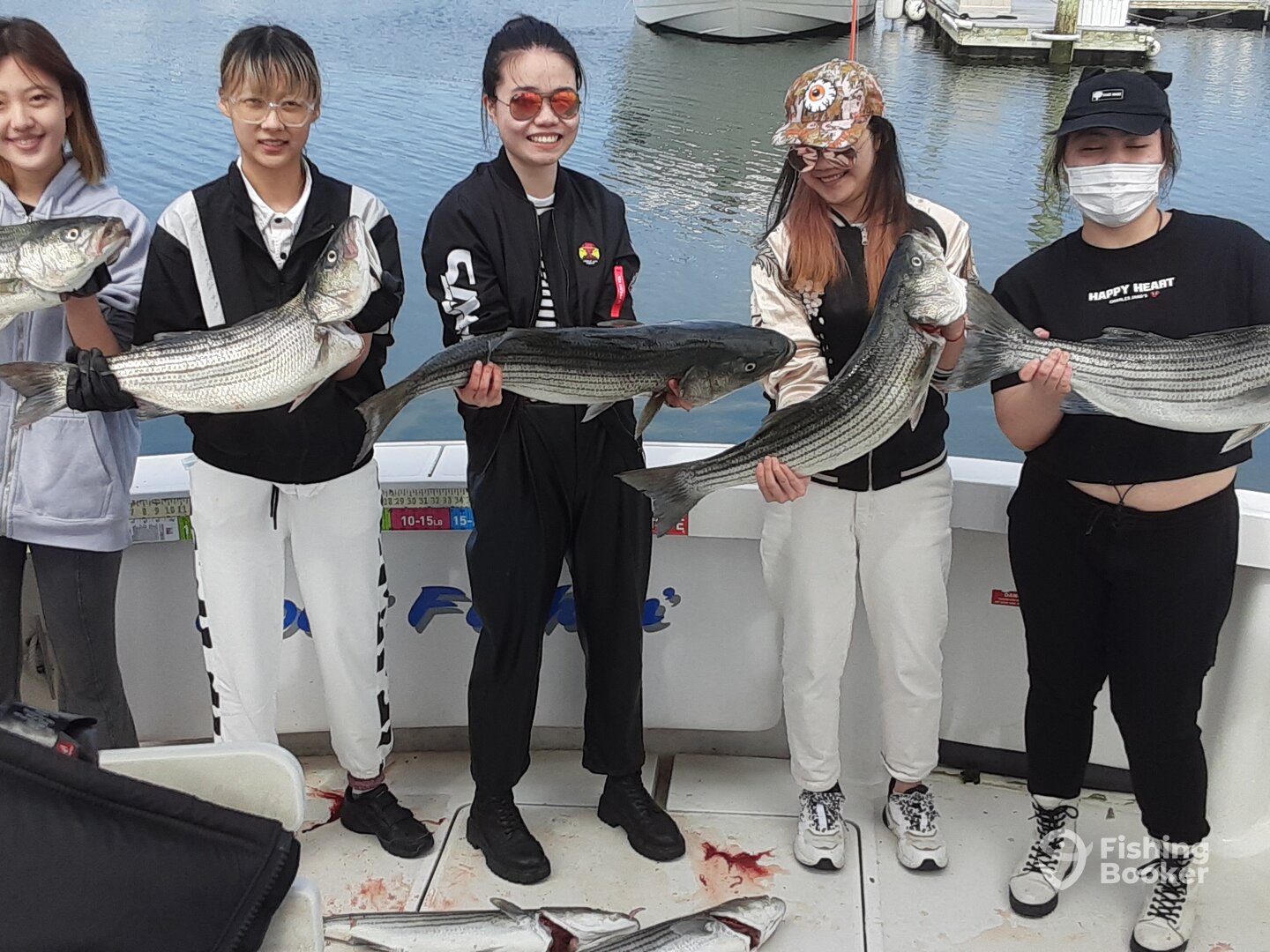 New York City Report Photo 0