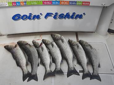 New York City Report Photo 1