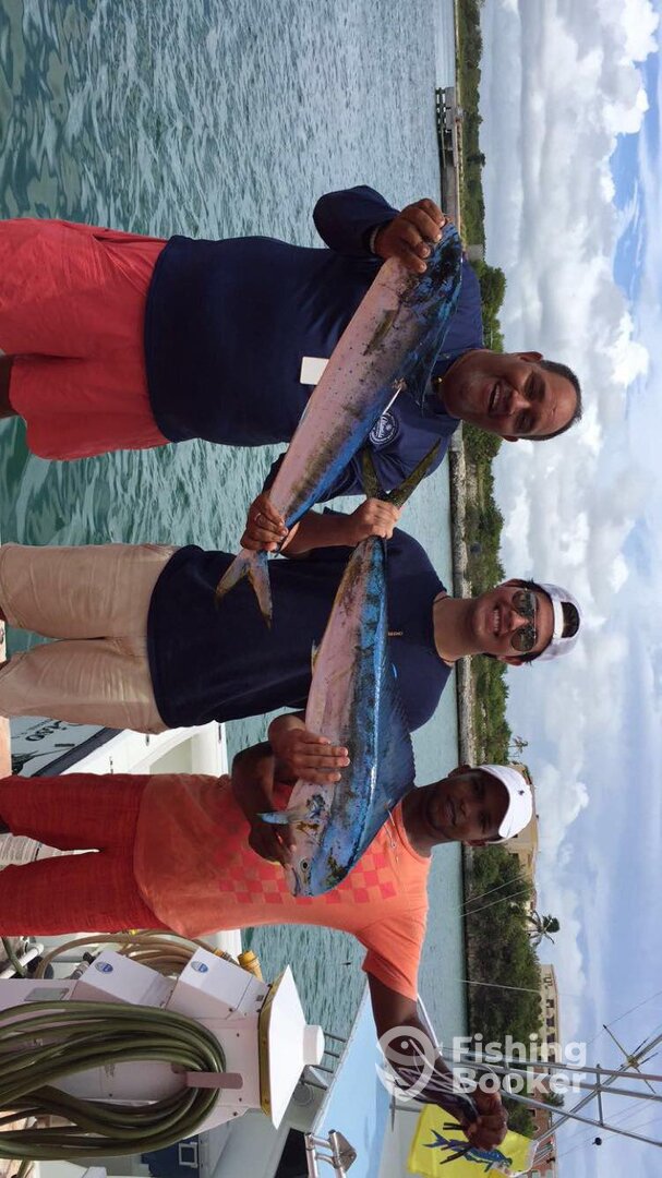 Punta Cana Report Photo 0