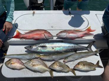 West Palm Beach Report Photo 1