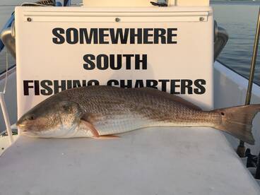 St. Petersburg Report Photo 1