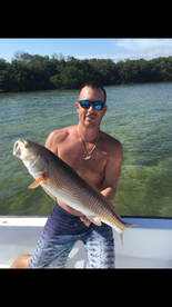 St. Petersburg Report Photo 2