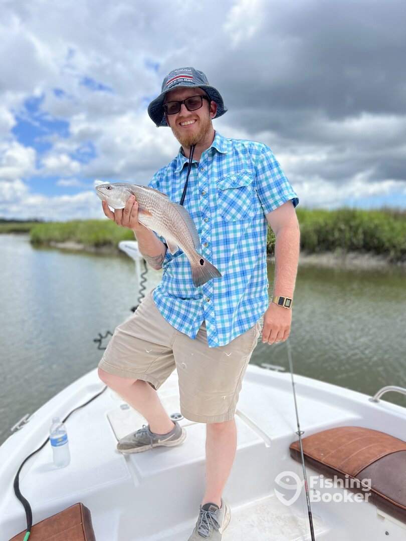 Darien Report Photo 0