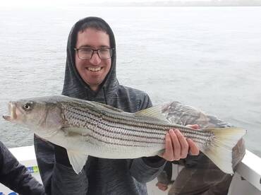 New York City Report Photo 2