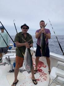 Sandys Report Photo 1