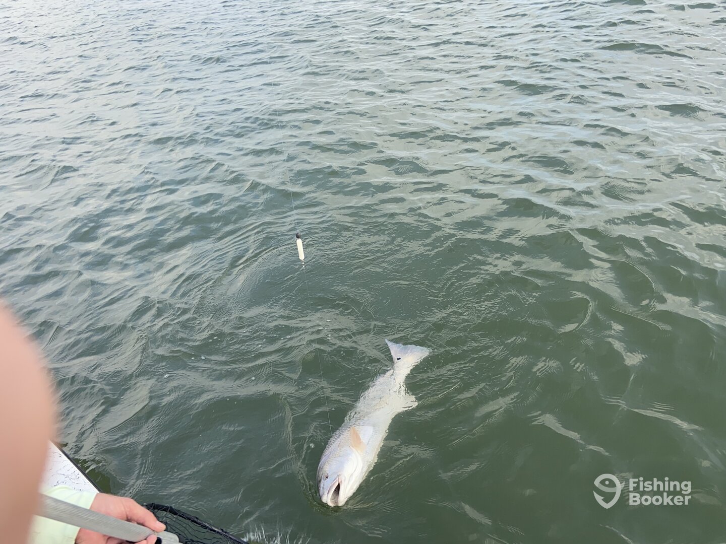 Galveston Report Photo 0