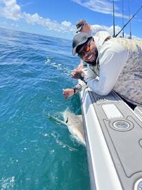 Fernandina Beach Report Photo 2