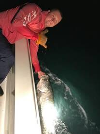 Islamorada Report Photo 2