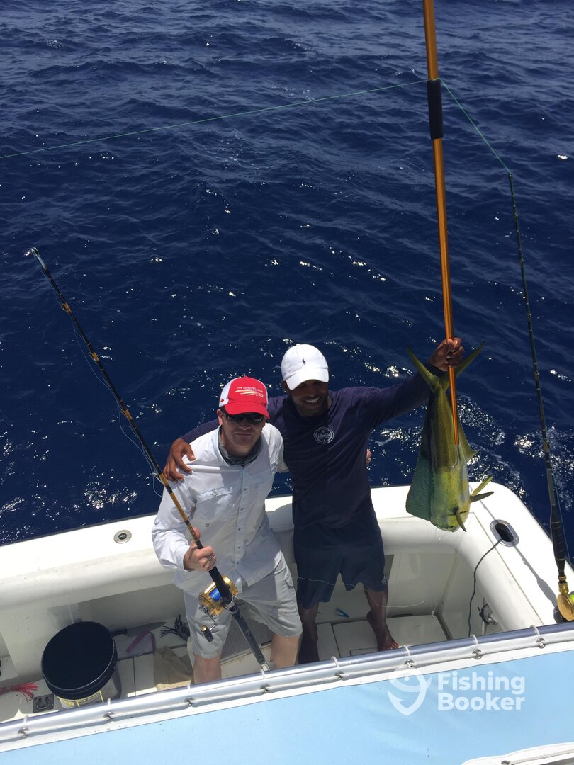 Punta Cana Report Photo 0