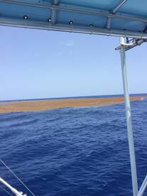 Punta Cana Report Photo 1