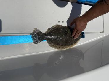 Emerald Isle Report Photo 1