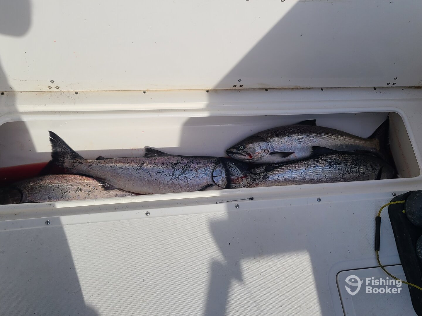 Ucluelet Report Photo 0