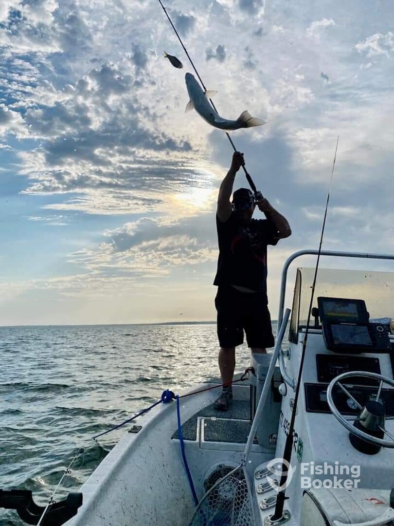 Pottsboro Report Photo 0