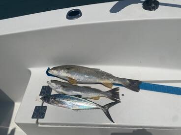 Emerald Isle Report Photo 2