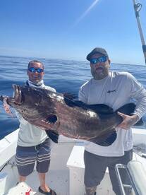 Grouper nuggets anyone